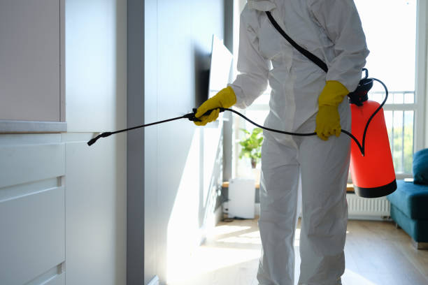 Best Commercial Mold Removal  in Marlinton, WV