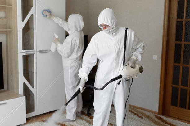 Best Attic Mold Removal  in Marlinton, WV