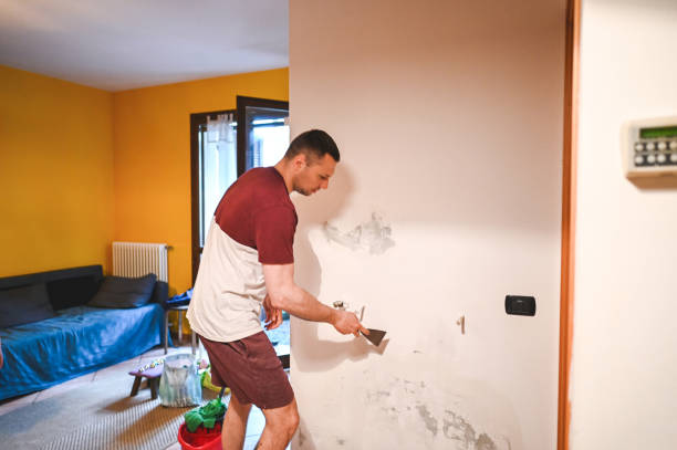 Best Affordable Mold Removal  in Marlinton, WV